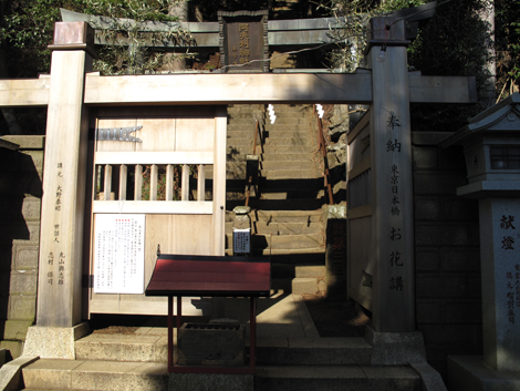 20151228hike (58)